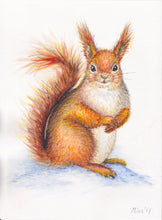 Load image into Gallery viewer, Originele aquarel schilderij eekhoorn
