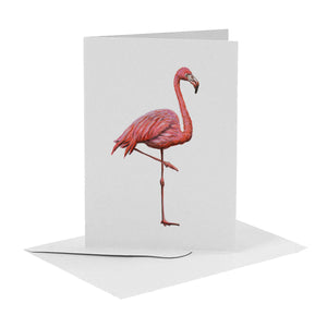 blanco wenskaart met flamingo