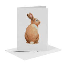 Load image into Gallery viewer, 10 greeting cards tropical animals with envelope
