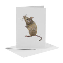 Load image into Gallery viewer, 10 greeting cards tropical animals with envelope
