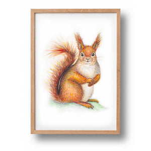 Squirrel poster