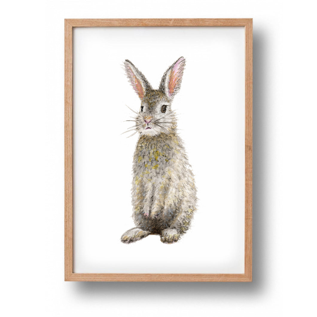 Vluchtig Geavanceerde Rustiek Poster konijn – Mies to Go