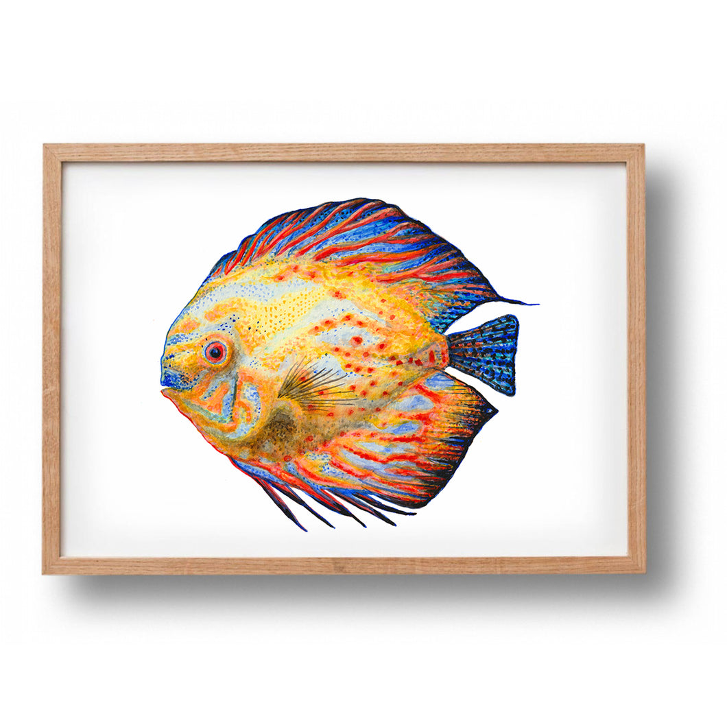 Poster tropical fish blue and yellow