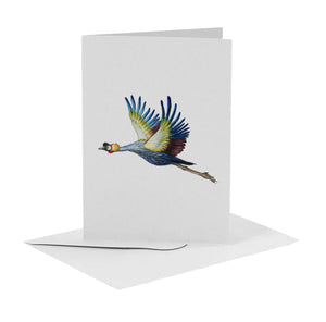 10 greeting cards birds with envelope