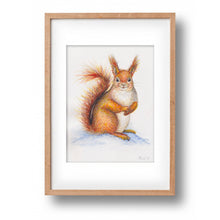 Load image into Gallery viewer, Originele aquarel schilderij eekhoorn
