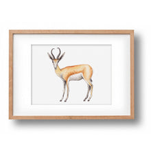 Load image into Gallery viewer, Originele aquarel springbok
