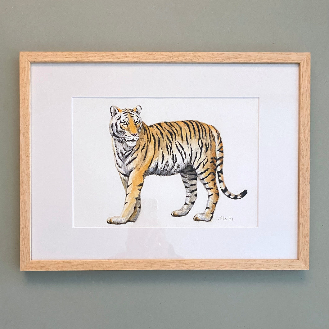 Original watercolour tiger