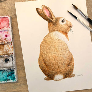 Original watercolour rabbit