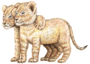 Wallsticker lions