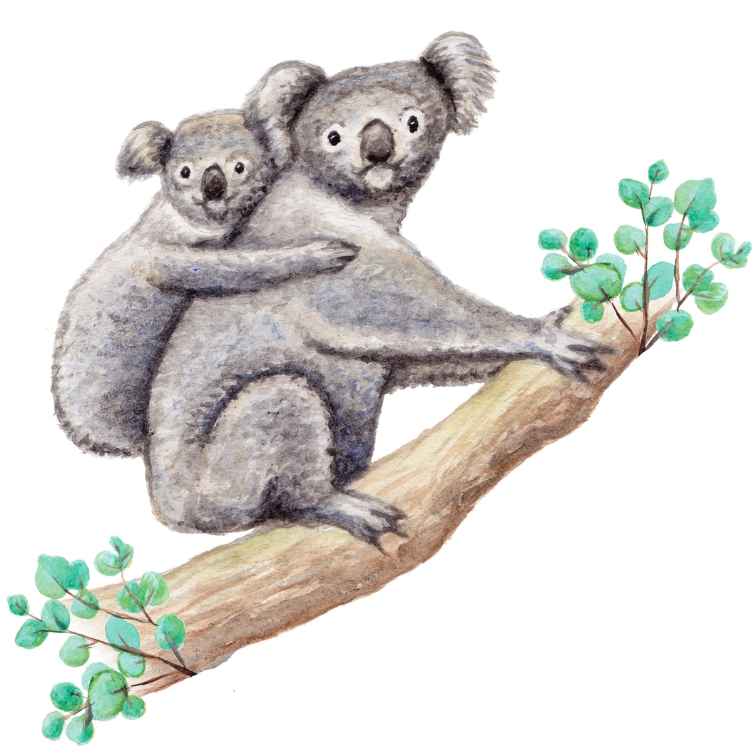 Wallsticker koala