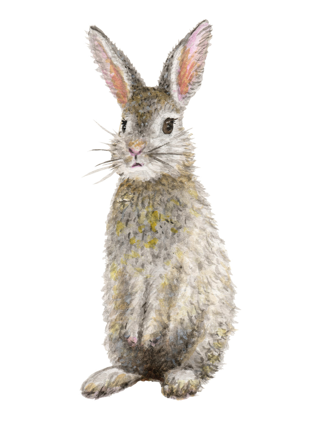 Wallsticker rabbit