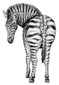 Wallsticker zebra
