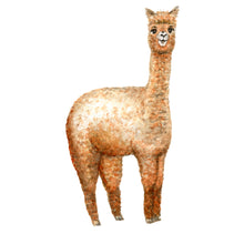 Load image into Gallery viewer, Wallsticker alpaca
